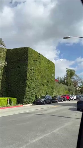 Jeff Bezos chooses to pay a $12,000 annual fine rather than trim the giant hedge around his Beverly Hills mansion to the legal 1-meter limit 😭