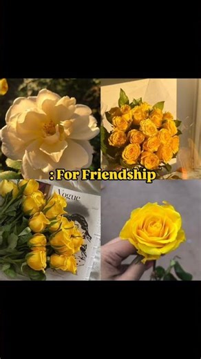 Different meanings of roses🌹✨