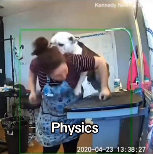 Dog Physics: Exploring the Science Behind a Dog's Woof