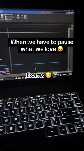 Challenges of Student Developers During Exams