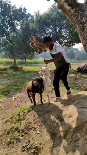 @abhishek_raj__2005 | 😆😆 | Instagram