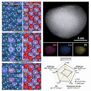 Breaking Fuel Cell Barriers: New Platinum Catalyst Developed at SKKU Brings High-Efficiency Hydrogen Vehicles Closer to Commercialization | Newswise