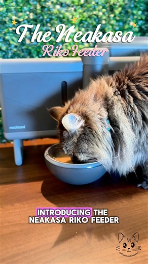It hydrates the food⁉️ 🙀