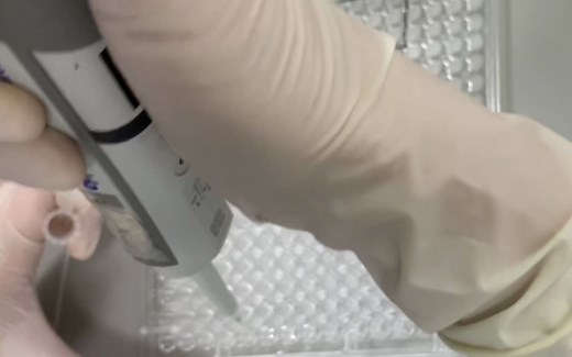 动物组织蛋白提取及样本制备