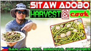 Harvesting String beans and Quail Eggs | Harabas
