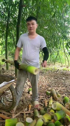 Satisfying Bamboo Shoots Cutting