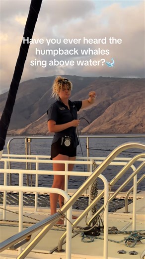POV: you just tuned into the oceans playlist🔊🐋 Ever wonder how we can hear whales underwater? We use a hydrophone — basically an underwater microphone — that picks up sound waves traveling through the ocean. Since sound moves farther and faster in water than in air, whale songs can carry for miles! We also follow NOAA guidelines to help protect whales and reduce disturbance, including keeping respectful distances and limiting interaction time. 💙🌊 #sailtrilogy #whales #whalesongs #hydrophone 