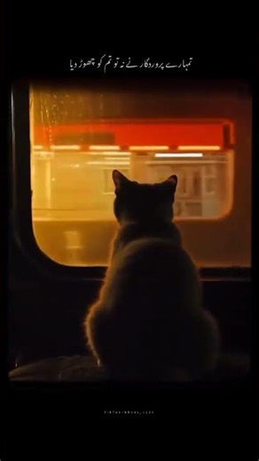 Allah ☘️💞 ! Mai to tmhre pass hi hu #allah #islamicvideo