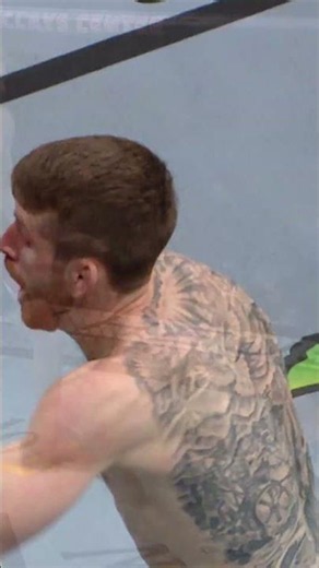 arm bar for the win! #ufc329