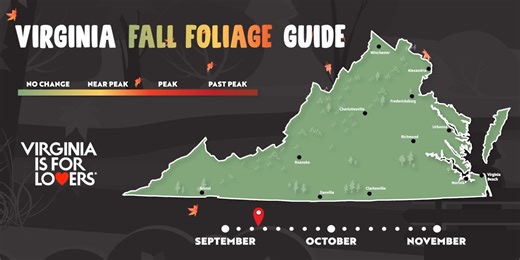 The leaves will start changing before you know it - some already might be starting. Use our fall foliage map to help plan out your fall adventure. Remember trees in the mountains peak first! 🍁 | Virginia is for Lovers
