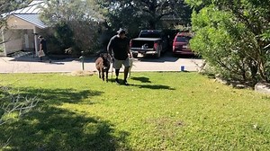 Let’s go.... 🗣🇺🇸Crispy On🗣🇺🇸 | CRISPY11b