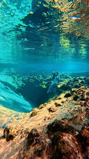 🩵 Mask @soflospearfishing Camera @gopro 12 #underwater #freediver #freediving #springs #coldwater | Coralia Dives