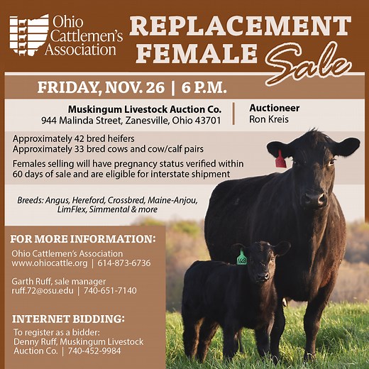 Ohio Cattlemen's Association - Replacement Female Sale
