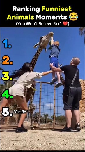 Animals Having the Funniest Moments 😂 #shorts #compilation