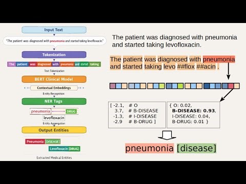 Classificação e Named Entity Recognition a partir de Encoders – NLP na Engenharia de Software 2025