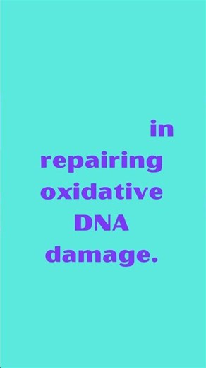 MUTYH MutY DNA Glycosylase