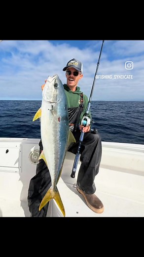 12 reactions | Real Salt Life doing some damage on the yellowtail on their Fishing Syndicate Inshore Composite Series Rods, available at participating FS Dealers! Fishingsyndicate.com #getsyndicated #yellowfintuna #offshorefishing #bluefintuna #fishingsyndicate #accuratefishing #okumafishing #daiwareels #turnersoutdoorsman #anglerchronicles #gtcustomworkz #inshorefishing #islandfishing #jigfishing #lakefishing | Fishing Syndicate | Facebook