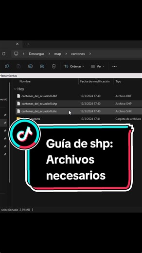 Archivos Esenciales para Trabajar con Shapefiles (SHP)