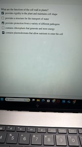 What are the functions of the cell wall in plants?provides rig... | Filo