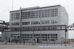 [Hot Item] Sunflower Seed Oil Processing Factory Machine, Edible Oil Making Machine