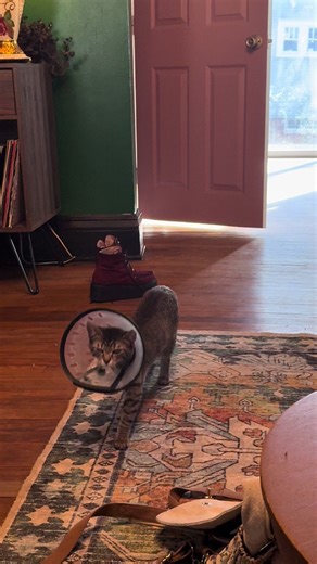 Rebecca (@bbybec_)’s videos with Stayin Alive - Bee Gees