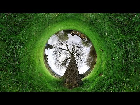 What If Reality Is Nothing But Perspective?