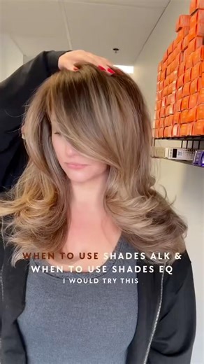 How To Combine Redken Shades EQ and Shades ALK