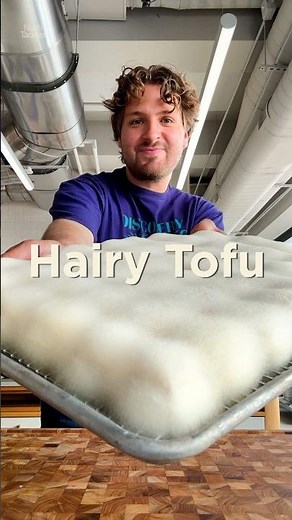 We Made Hairy Tofu From Scratch