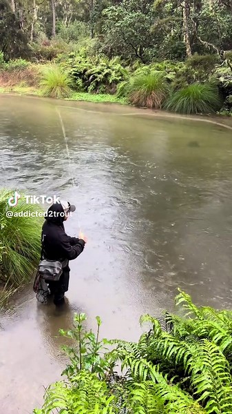 Trout Fishing Adventures in New Zealand