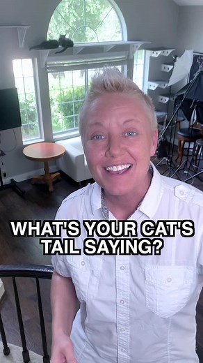 Cat Tip of the Day: What’s Your Cat’s Tail Saying? #cattips101 #tailtalk #catbehavior