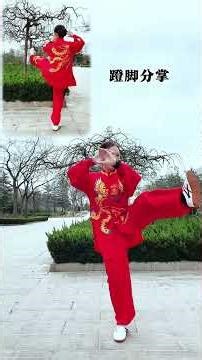 Master Tai Chi's 24 Forms: A Step-by-Step Journey