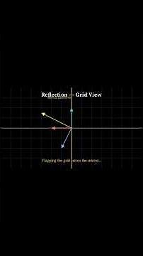 Reflection Matrix in 30 sec| Abhinandan Kumar. #animation #math #manim