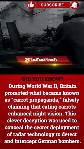 Carrot Propaganda in World War II #history #ww2
