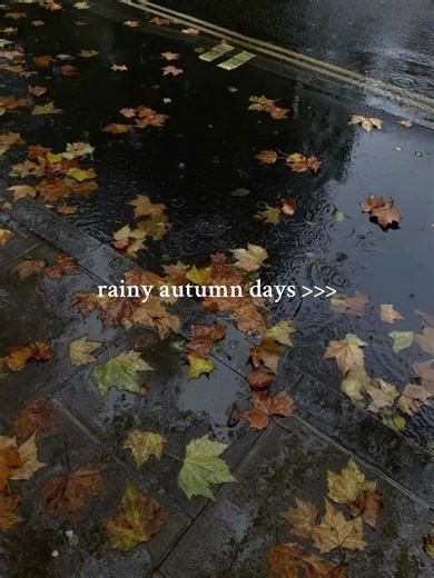 Experiencing Cozy Autumn Days in the Rain