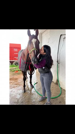 😍🏇🍀#copachallenger2025🏇🏅🏆