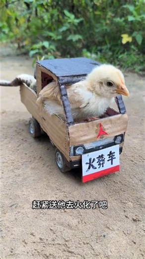 chintu helping Brother 😱 New Viral Gadgets, Appliances, Kitchen Utensils/ Home🤯😨 #shorts