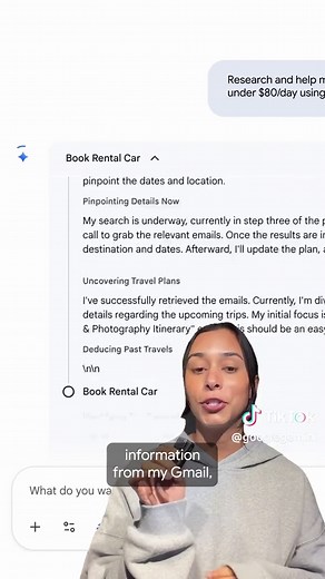 Effortless Car Rentals with Google Gemini Agent
