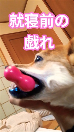 適度な運動を