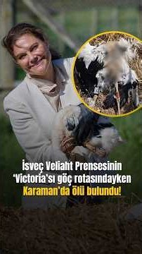 Crown Princess of Sweden’s ‘Victoria’ found dead in Karaman during migration!