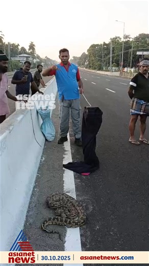 22K views · 81 reactions | 'പാമ്പൻ പാലം', തൃശൂർ ചാവക്കാട് ദേശീയപാത 66...