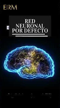 THE DEFAULT MODE NETWORK (DMN)