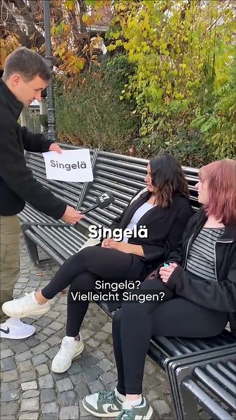 Wie viele Wörter hättest du gewusst? 😁 #rheintal #stgallen #dialekt #ostschweiz #radiofm1