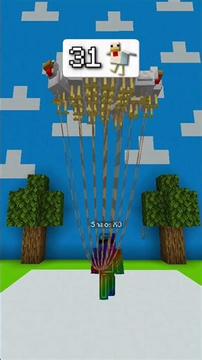 HOW MANY CHICKENS DO I NEED TO FLY? 🤨🐔