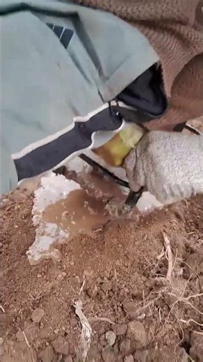 #sthilbt230auger #drilling #drillingtechnique #drilltypebeat #diy #asmr