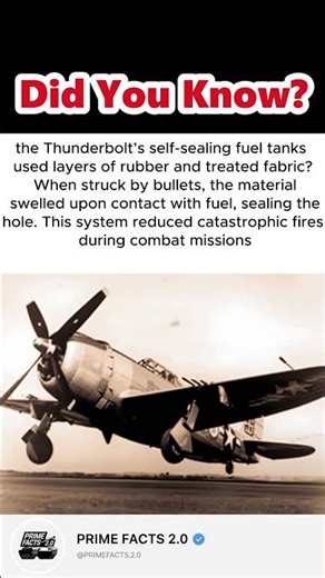 The Legendary Flying Tank of WWII #FlyingTank #WW2Aircraft #P47Thunderbolt #militaryhistory