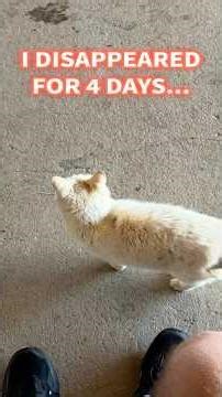 I Disappeared for 4 Days… Here’s Where BubbaNews Went (Kentucky Prophecy Fellowship)