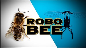 Module 3 My Glossary Term "The ROBOBEE"