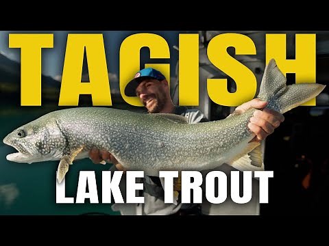 Tagish Lake Overnight Solo Fishing Trip
