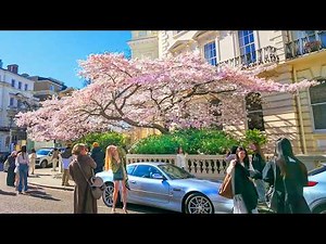 Notting Hill’s Magical Cherry Blossom House 🌸 Luxurious London Spring Walk 2026 | 4K HDR ASMR