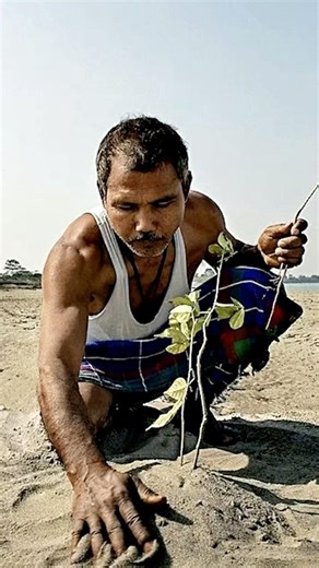 Jadav Payeng: One Man Planted an Entire Forest #inspiration #india
